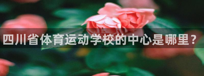 意昂F凯捷体育凯捷平台招商：四川省体育运动学校的中心是哪里？