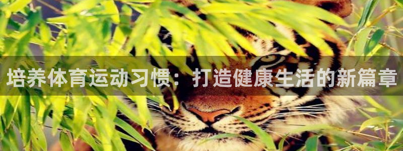 意昂F凯捷平台：培养体育运动习惯：打造健康生活的新篇章