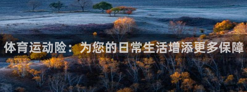 意昂F凯捷4平台注册：体育运动险：为您的日常生活增添更多保障