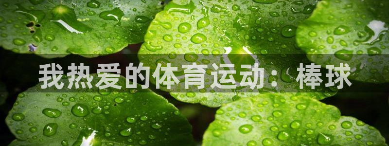 意昂F凯捷集团股票：我热爱的体育运动：棒球