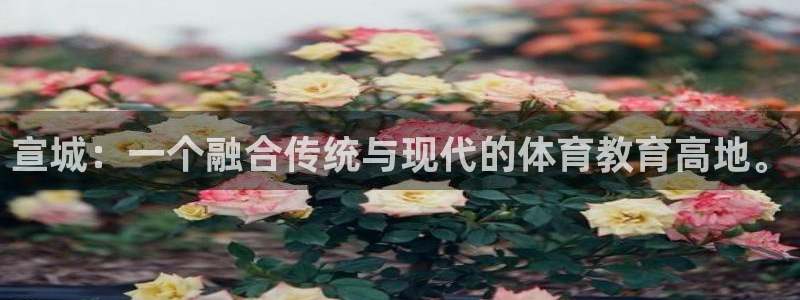 意昂体育2：宣城：一个融合传统与现代的体育教育高地。
