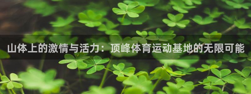 意昂体育3：山体上的激情与活力：顶峰体育运动基地的无限可能