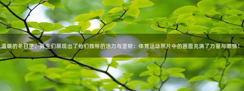 意昂F凯捷平台招商：温暖的冬日里，男生们展现出了他们独特的活力与坚韧：体育运动照