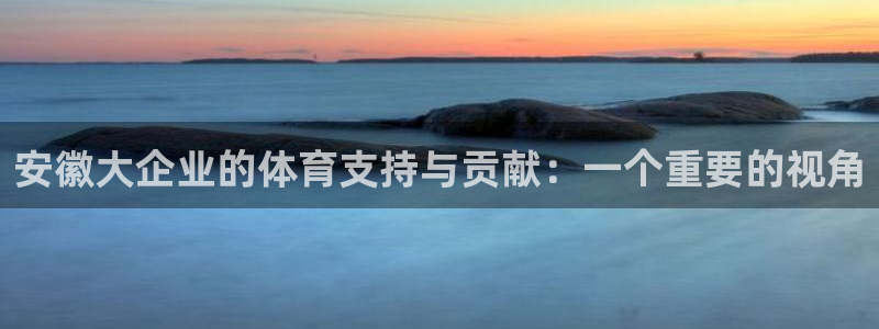 意昂F凯捷登录入口：安徽大企业的体育支持与贡献：一个重要的视角