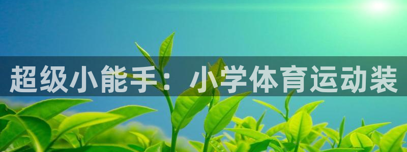 意昂F凯捷体育网页版入口：超级小能手：小学体育运动装