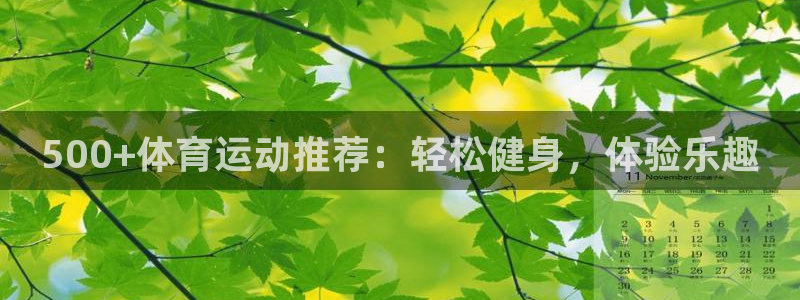意昂4：500+体育运动推荐：轻松健身，体验乐趣