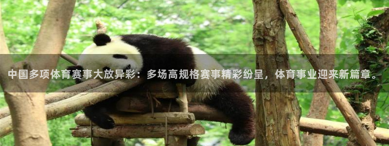 意昂F凯捷5招商：中国多项体育赛事大放异彩：多场高规格赛事精彩纷呈，体育事业迎来