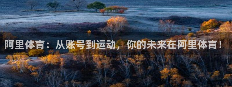 意昂4登录：阿里体育：从账号到运动，你的未来在阿里体育！