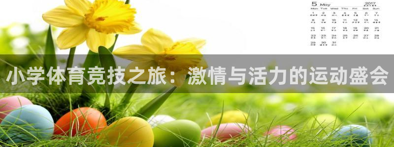 意昂kgame：小学体育竞技之旅：激情与活力的运动盛会
